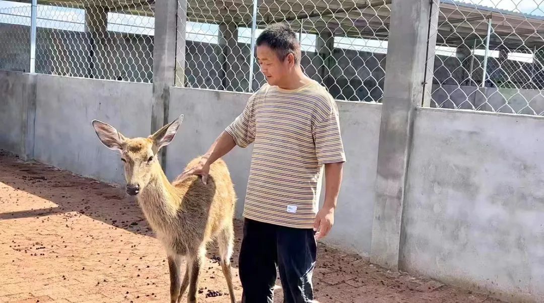 娱乐平台注册